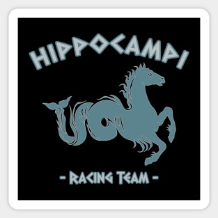 Hippocampi Racing Team Sticker